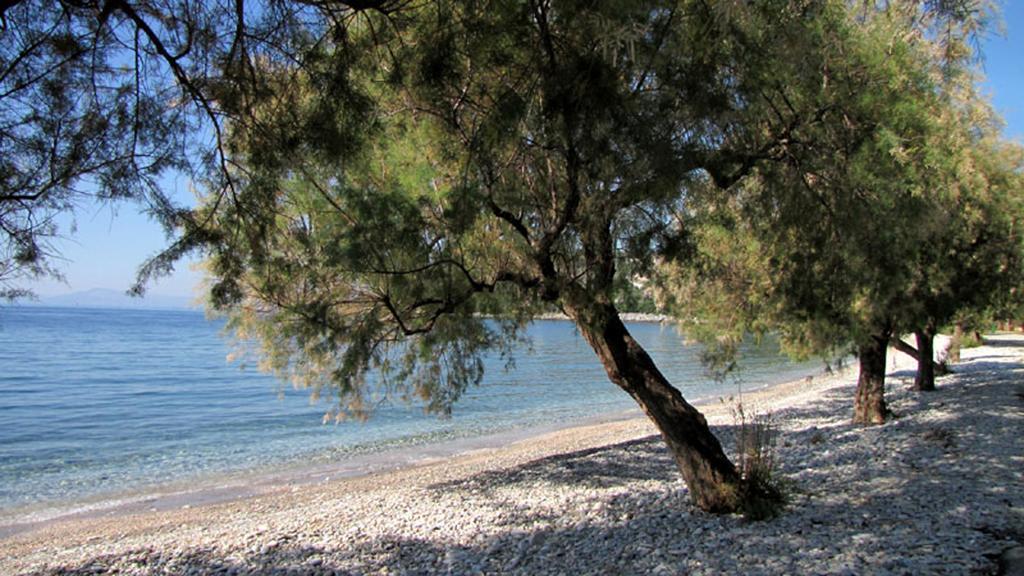 Iro Family Apartments Pelion Lefokastro Bagian luar foto